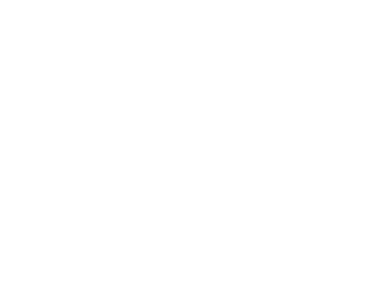 Logo 2 white